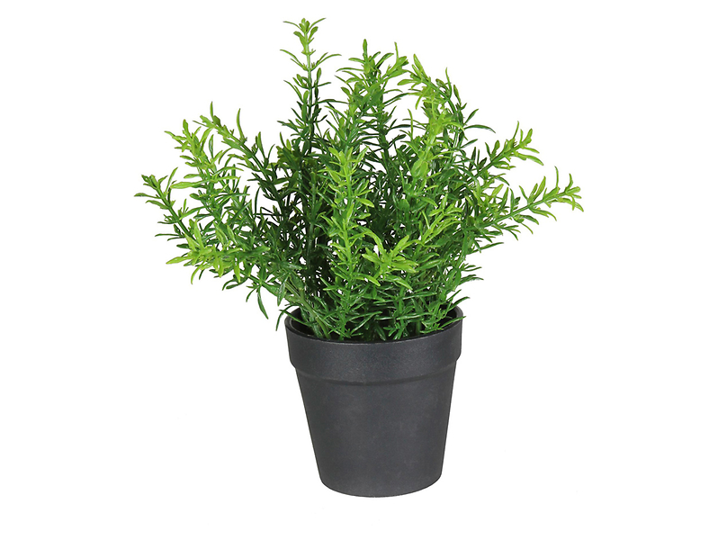 Sztuczny kwiat w doniczce Herbs III 22 cm