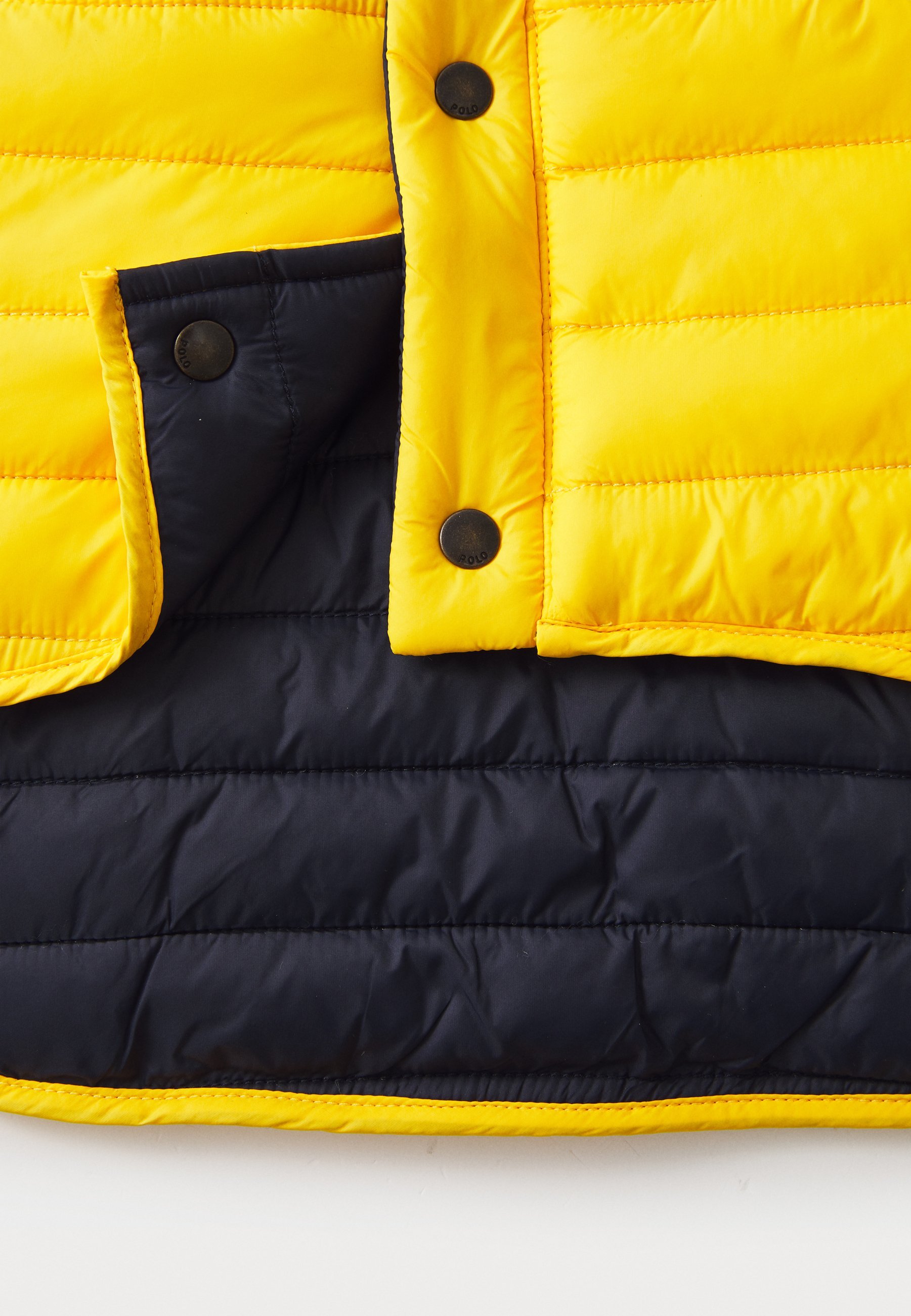 Polo Ralph Lauren huisdier