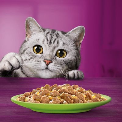 Meniu mixt Whiskas 1+ în jeleu