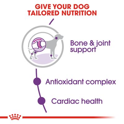 Royal Canin Giant Adult