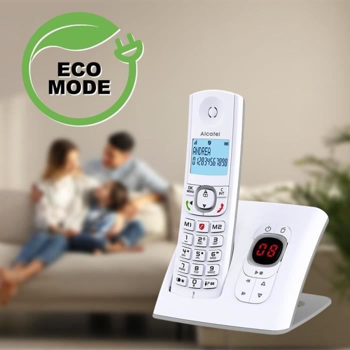 Téléphone sans fil - ALCATEL - F530 Voice - Répondeur, blocage d'appels, mains libres, 2 mémoires directes, Blanc/Gris