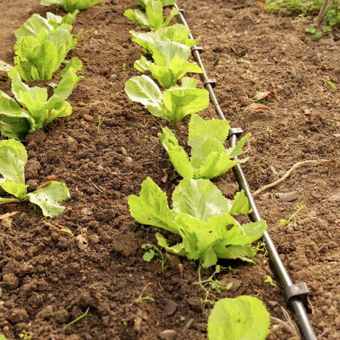 Kit d'arrosage goutte à goutte - Tuyau 30m dia16mm -  60 goûteurs à débit eau réglable - Système irrigation Serre Plante Potager