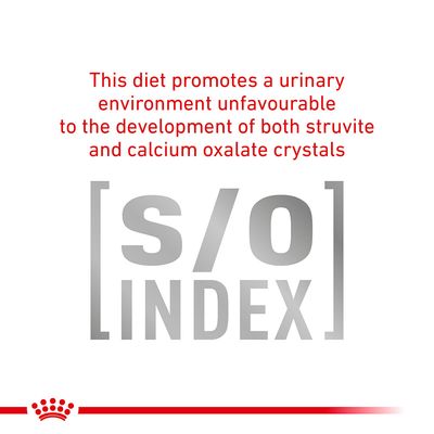 Royal Canin Veterinary Cat - Karma dla kotów o umiarkowanym spożyciu kalorii