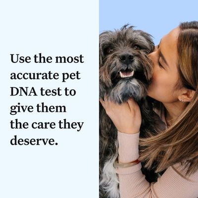 Wisdom Panel™ Βασικό Τεστ DNA για Σκύλους