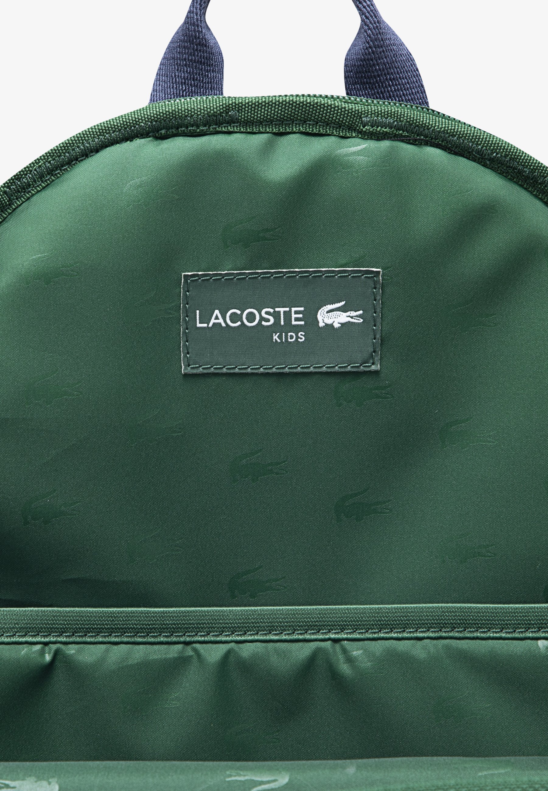Zaino Lacoste VARSITY UNISEX - Borsa per la scuola - verde