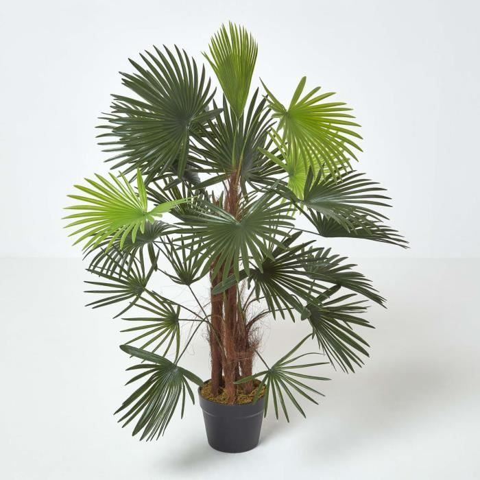 Palmier bambou vert Lady Palm en pot, 90 cm