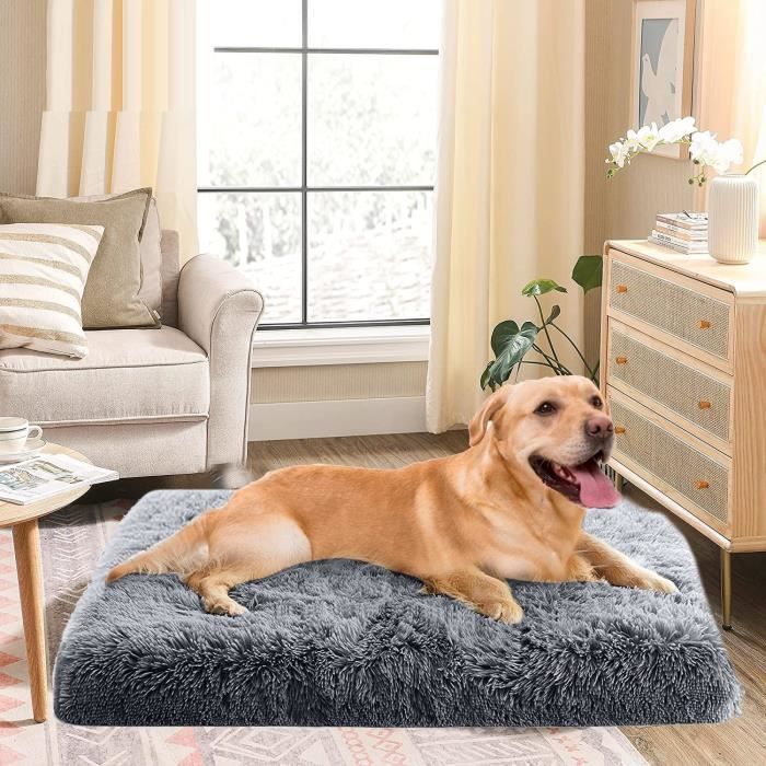 Cojín extraíble para perros de 100x60x10 cm - Alfombrilla lavable de espuma viscoelástica - Cama gris oscuro con base antideslizante