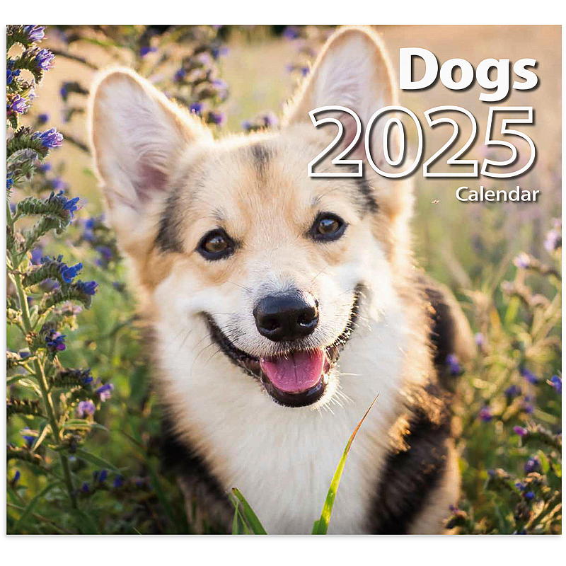 Wandkalender Hunde 2025