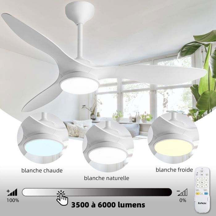 Ventilateur Plafond avec Lumière LED à Intensité Variable, 132 cm, Télécommande/Mode Hiver-Été/Silencieux/Moteur CC 30W, Blanc