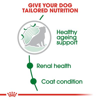Royal Canin Mini Ageing 12+