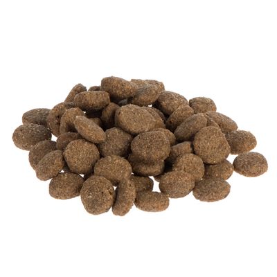 Purizon Single Meat Adult ekonomické balení 2 x 12 kg