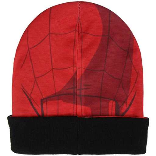 Spiderman Hat 71630