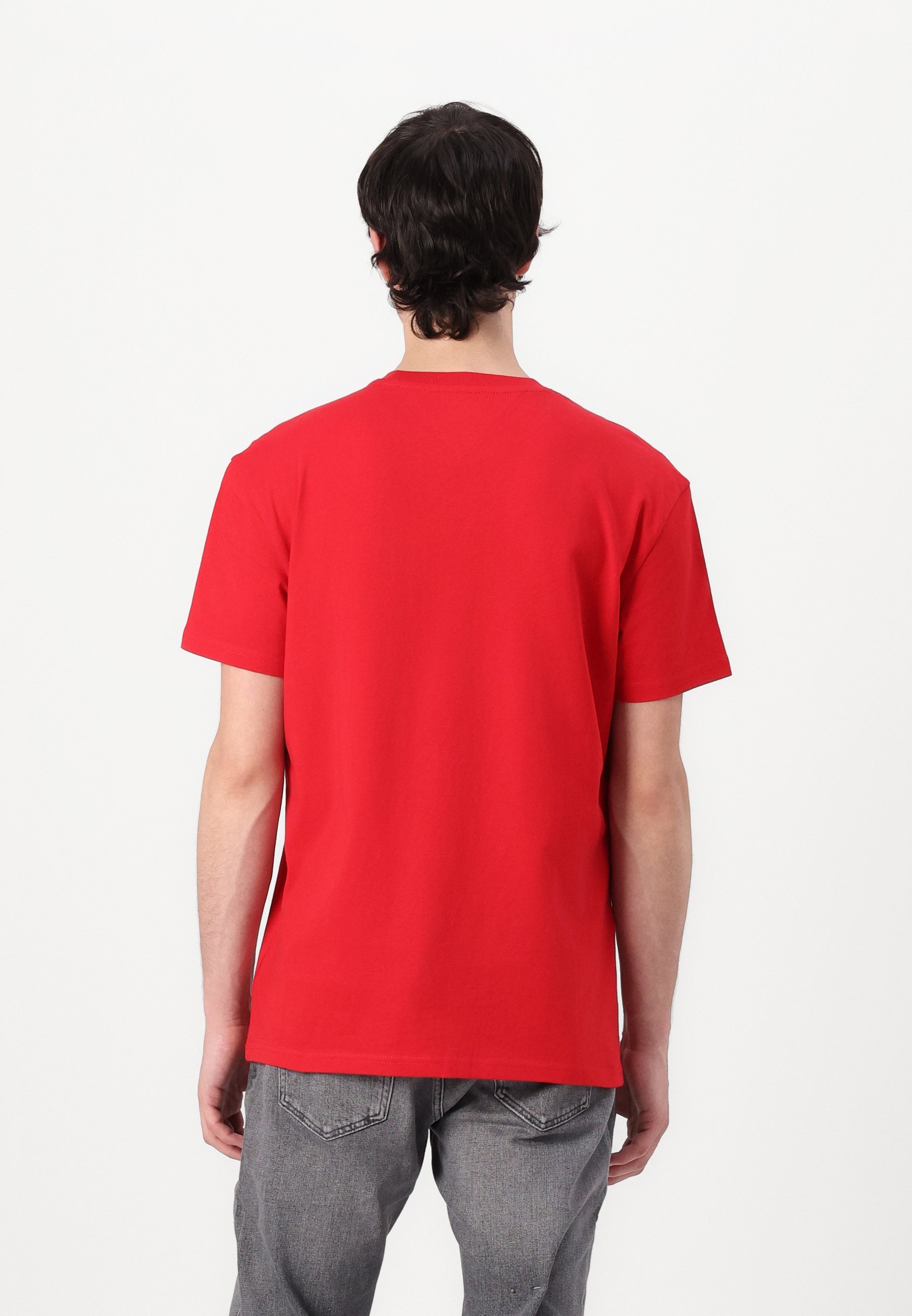 Tommy Jeans FLAG LINEAR T-shirt - T-shirt met print - saffierrood