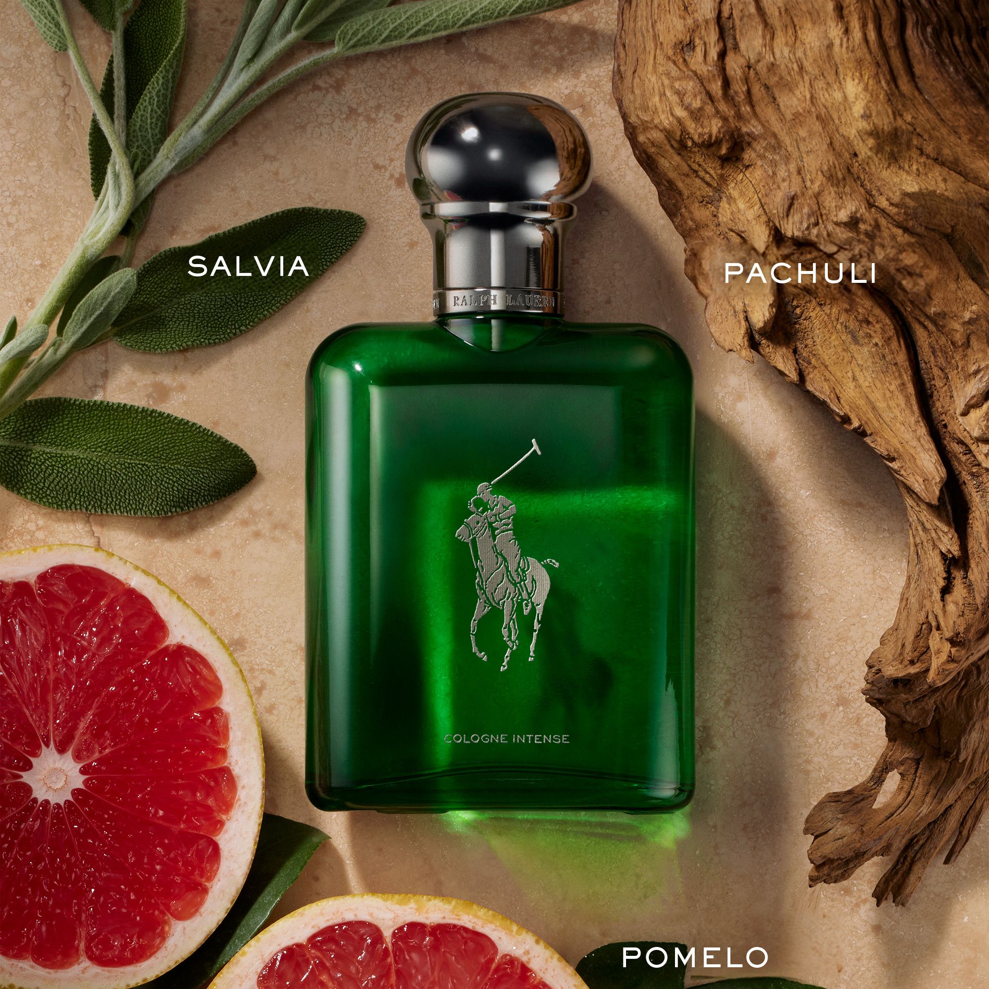 Polo Cologne Intense Мушке колоњске воде