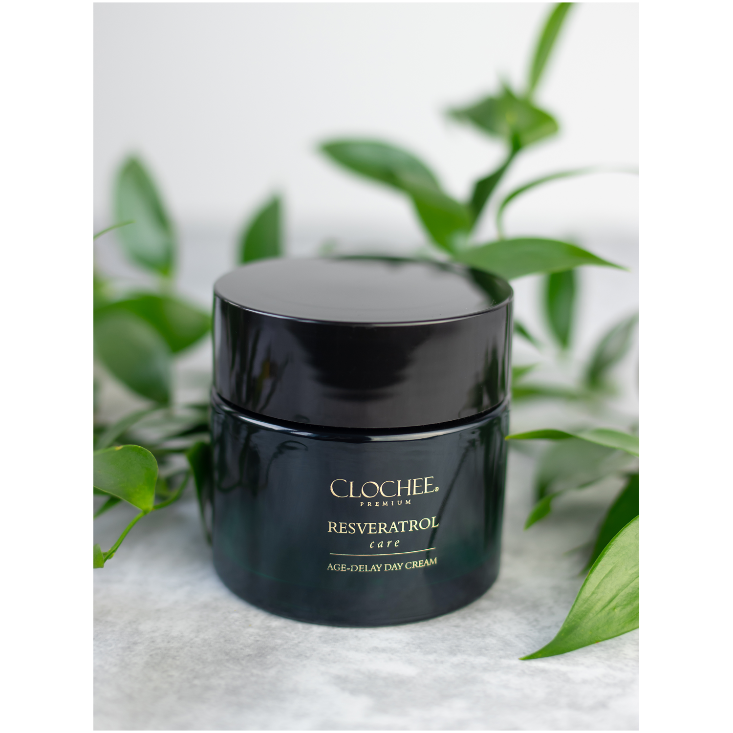 Clochee Premium resveratrol nega