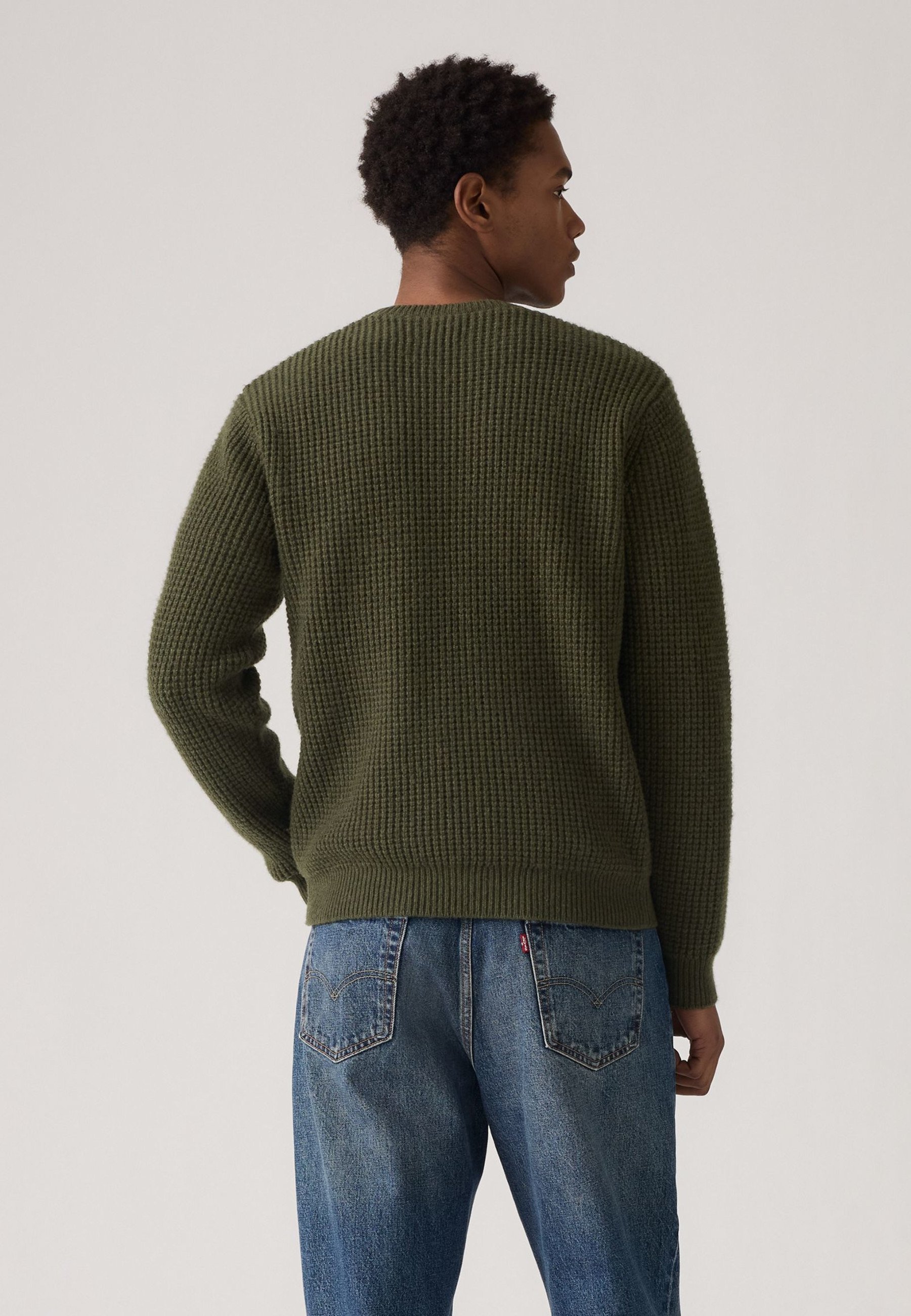 Levi's® PRESIDIO CREW - Pullover - Herbstlaub Heidekraut