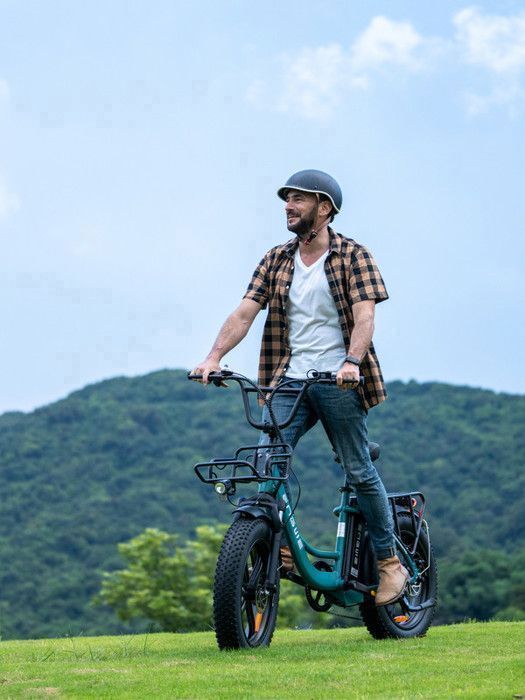 Vélo électrique - ENGWE - L20 BOOST - Autonomie 140km - Batterie Amovible 48V - Moteur 250W