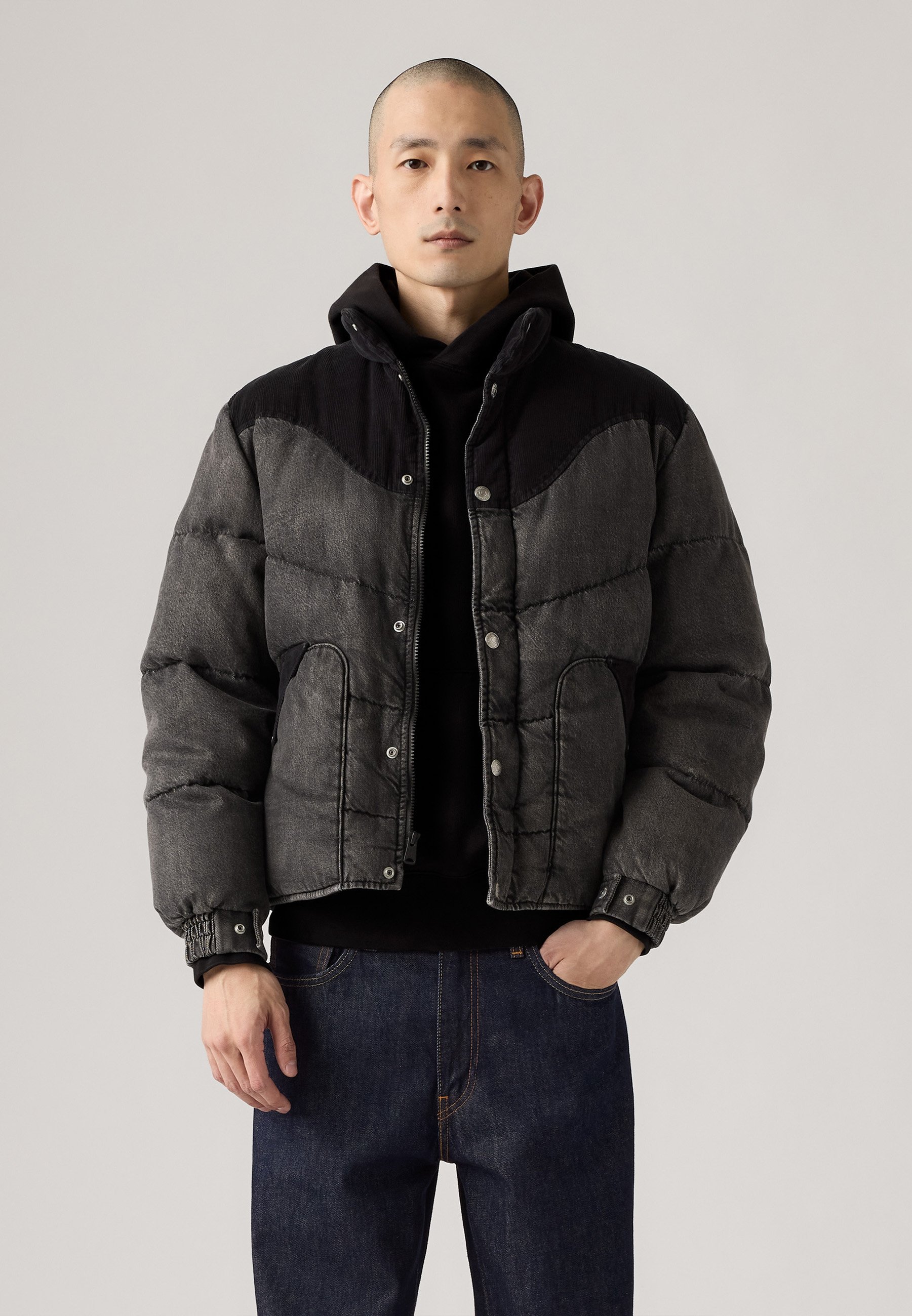 Levi's® WILD WEST PUFFER - Giacca imbottita - Hamilton Heights