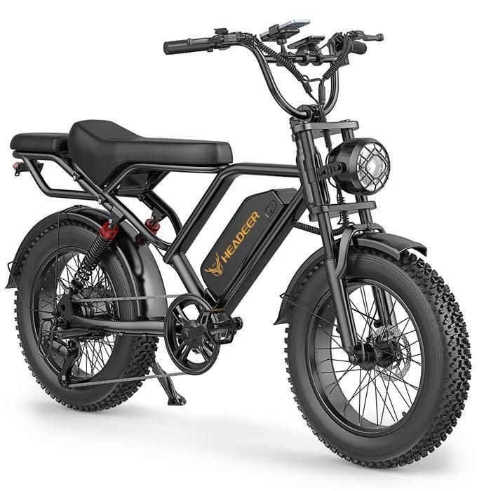 HEARDEER BK20 Electric Bike - 1000W Motor, 48V 20Ah Battery - Range 80km, Disc Brakes, MAX Speed 50km/h