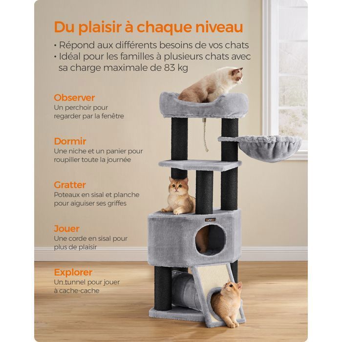 FEANDREA Arbre à Chat, 50 x 50 x 141 cm, Troncs épais en sisal, Gris Clair, Plate-Forme XXL, Hamac, Niche grande, Stable, Gris
