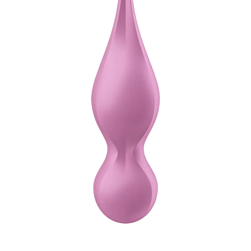 Satisfyer Love Birds 1 connect app