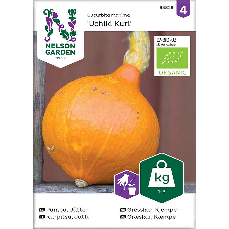 Nelson Garden Seeds Kurpitsajättiläinen, Uchiki Kuri, luomu