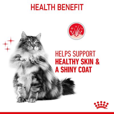 Royal Canin péče o srst a kůži