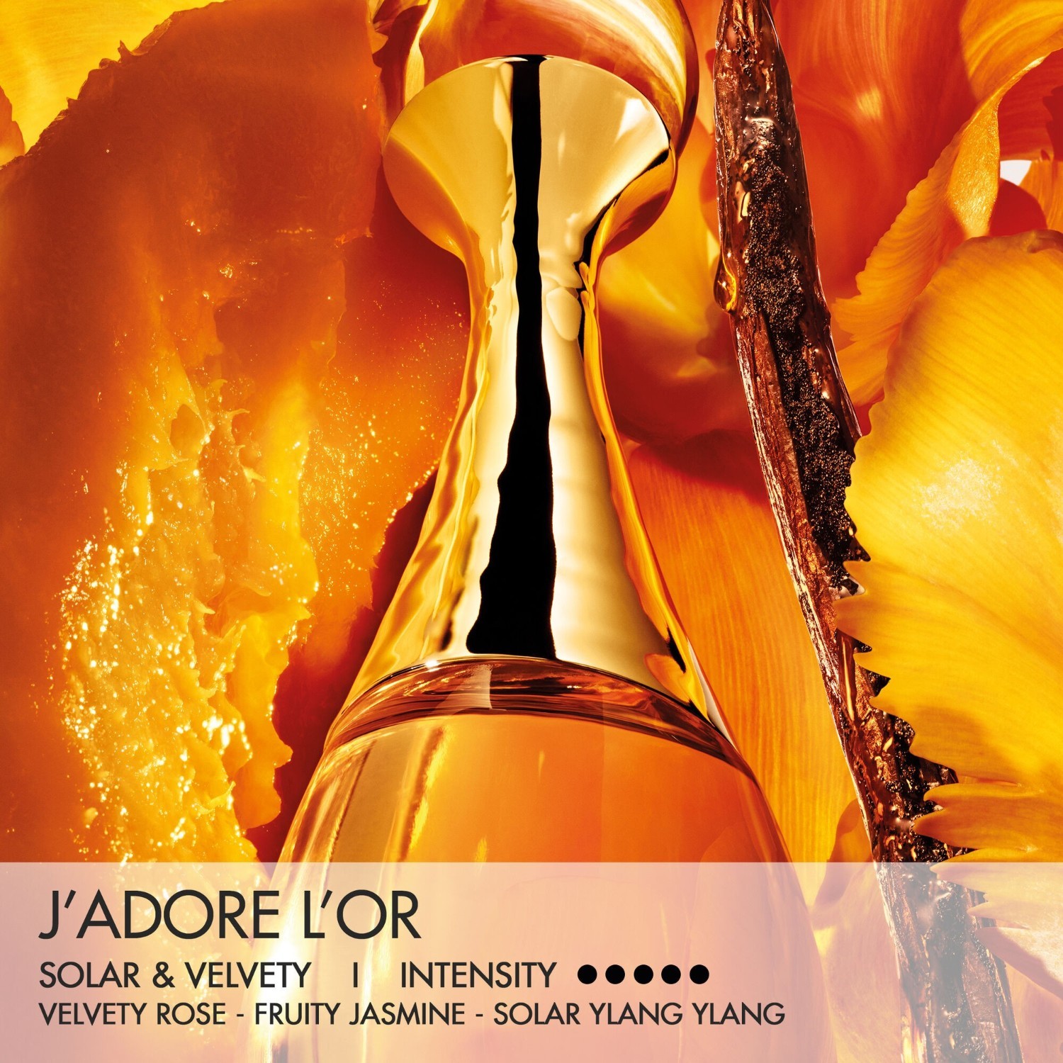 DIOR Parfem J'adore l'Or - 35 ml