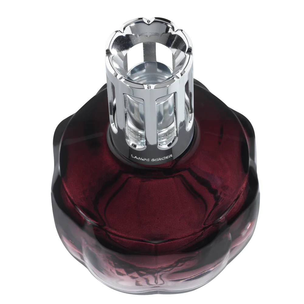 Lampe Coffret Molecule Prune - Cofanetto con Lampada, Lampada Catalitica
