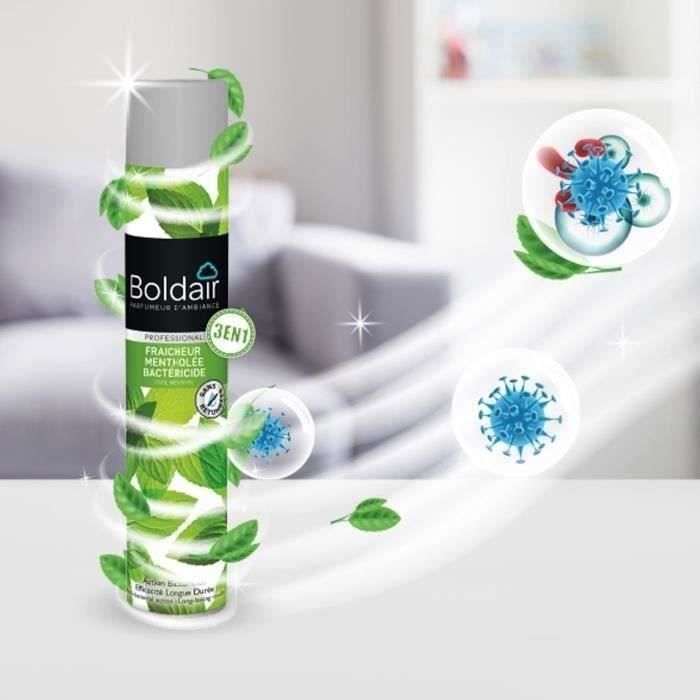 Bactericidal Air Freshener - Mentholated Freshness - 500 mL