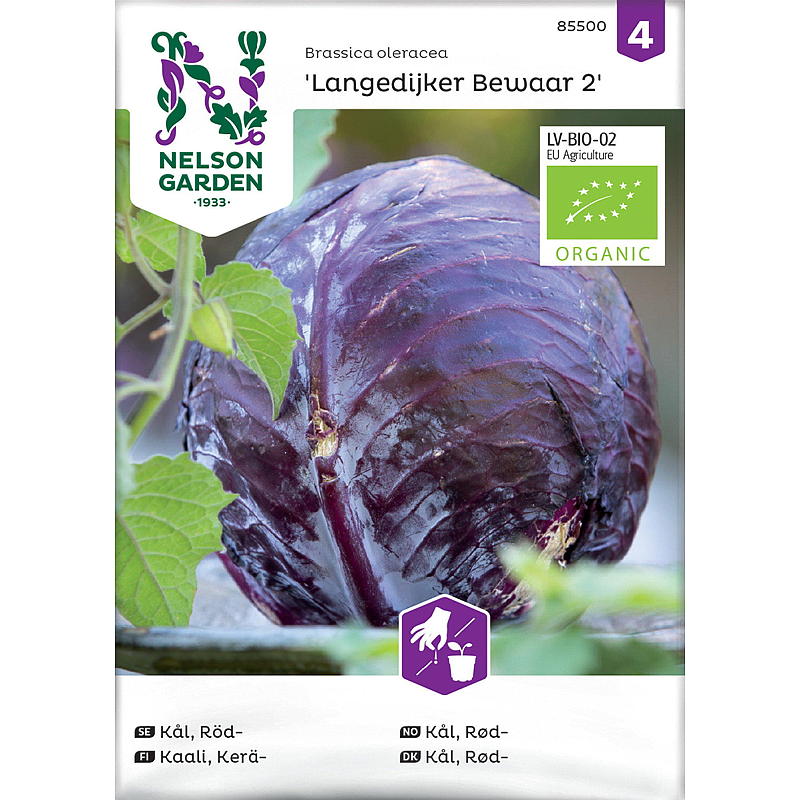 Nelson trädgård Seeds Cabbage Red, Langedijker Bewaar 2