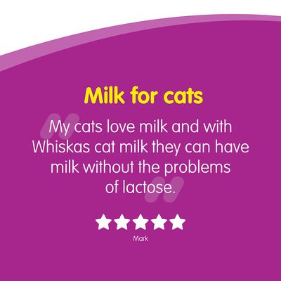 Latte per gatti Whiskas 6 x 200 ml
