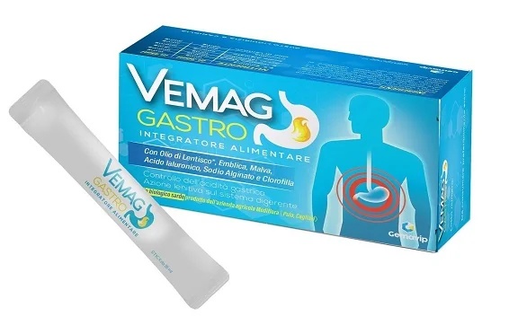GEMAVIP Vemag Gastro 2Stick