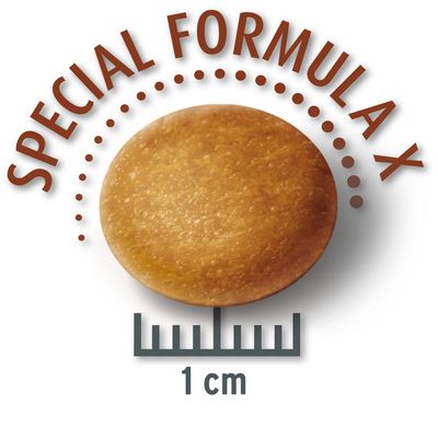 Concetto per la vita Medio Senior
