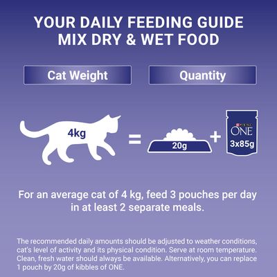 PURINA ONE Adulte