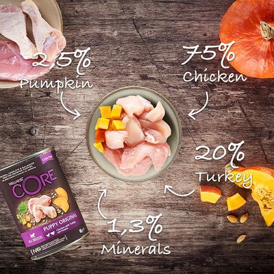 Wellness Core Puppy Original Nassfutter für alle Hunderassen mit Huhn und Pute
