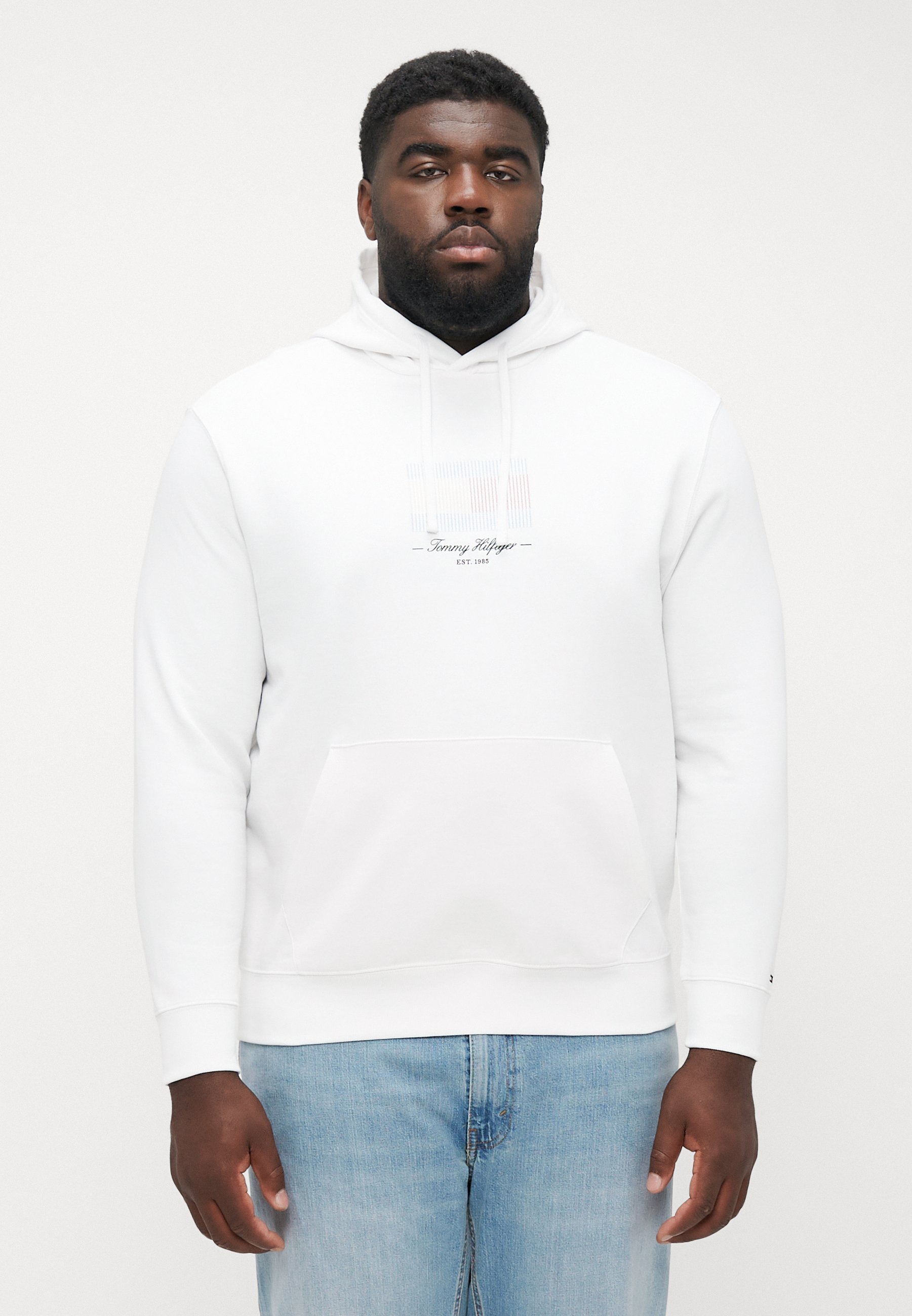 Tommy Hilfiger ITHACA FLAG HOODIE - Sweatshirt - wit