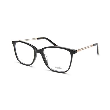 Monture de lunettes Lanidor noire 407 Lanidor