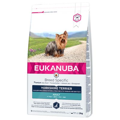 Yorkshire Terrier adulte Eukanuba