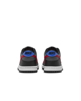 Nike Dunk Low Big Kids' Shoes