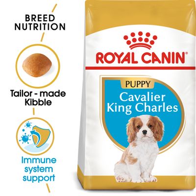 Royal Canin Cavalier King Charles puppy