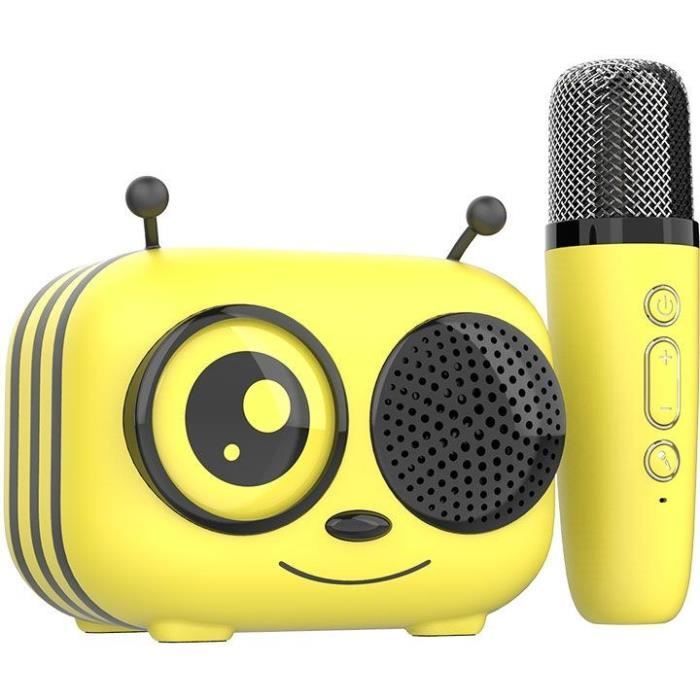 Kit Karaoke / Altoparlante Bluetooth e microfono wireless - CGV - MAYA, effetti vocali magici, autonomia della batteria di 8 ore, ricarica USB