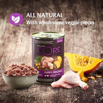 Υγρή τροφή για σκύλους Wellness Core Puppy Original για όλες τις ράτσες με κοτόπουλο και γαλοπούλα