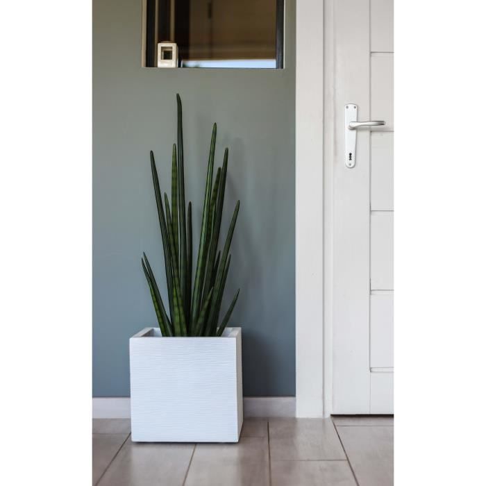 Maceta cuadrada de 30 cm - EDA - Graphit Up - 21 L - Interior/Exterior - 29,5 x 29,5 x 29,5 cm - Acabado blanqueado