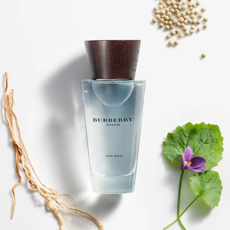 Toaletní voda pro muže Burberry Touch for Men