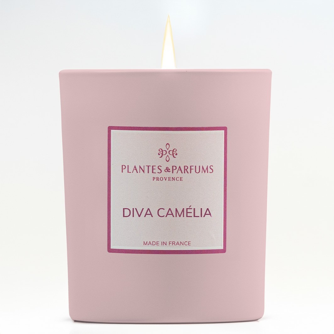 Plantes & Parfums Diva Camélia