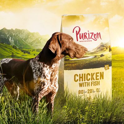 Purizon Pui cu Pește Adult – Fără cereale