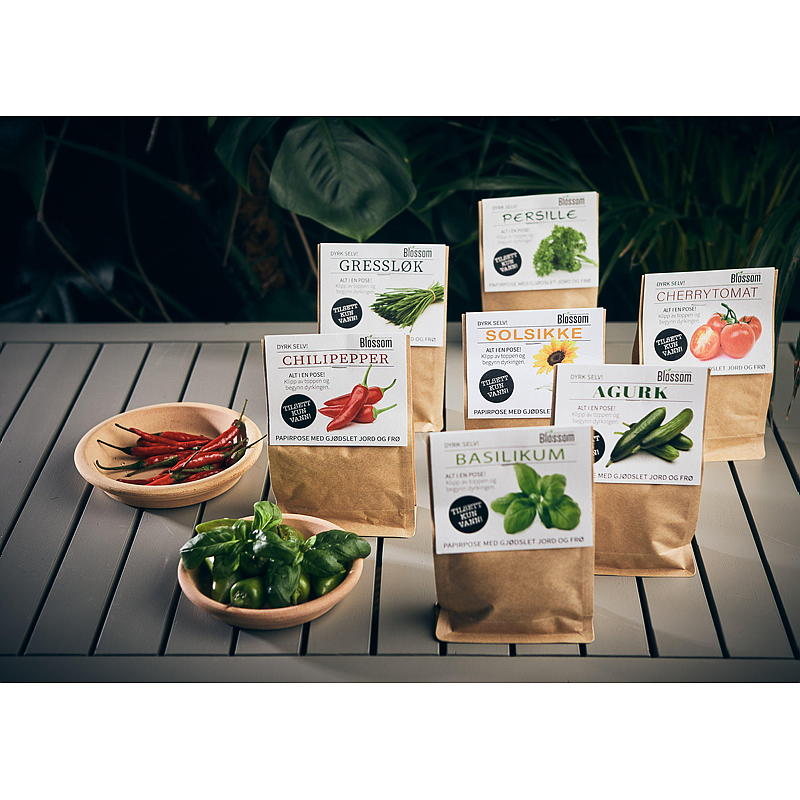 Bolsa de semillas de albahaca para flores, flor