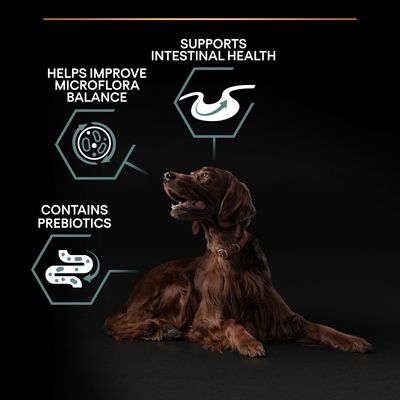 PURINA PRO PLAN Große Portion Lammfleisch & Reis für sportliche Erwachsene mit empfindlicher Verdauung