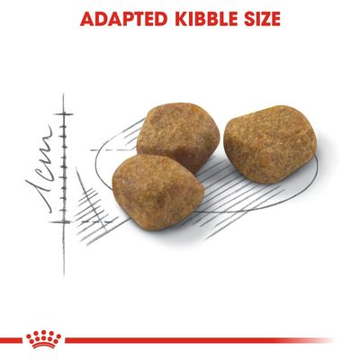 Royal Canin Εσωτερικής Χρήσης 7+